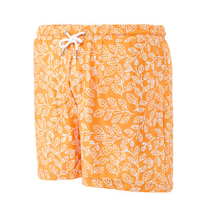 Dylan Swim Shorts